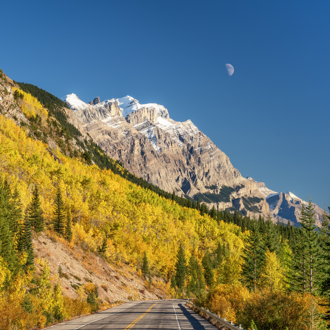 Canada RO Nomination + WHV Registration