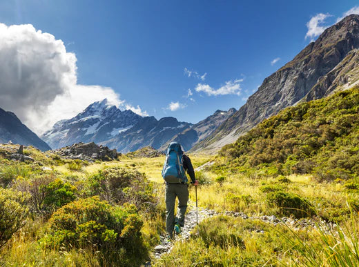 Why You Should Visit New Zealand: The Ultimate Guide for First-Time Visitors