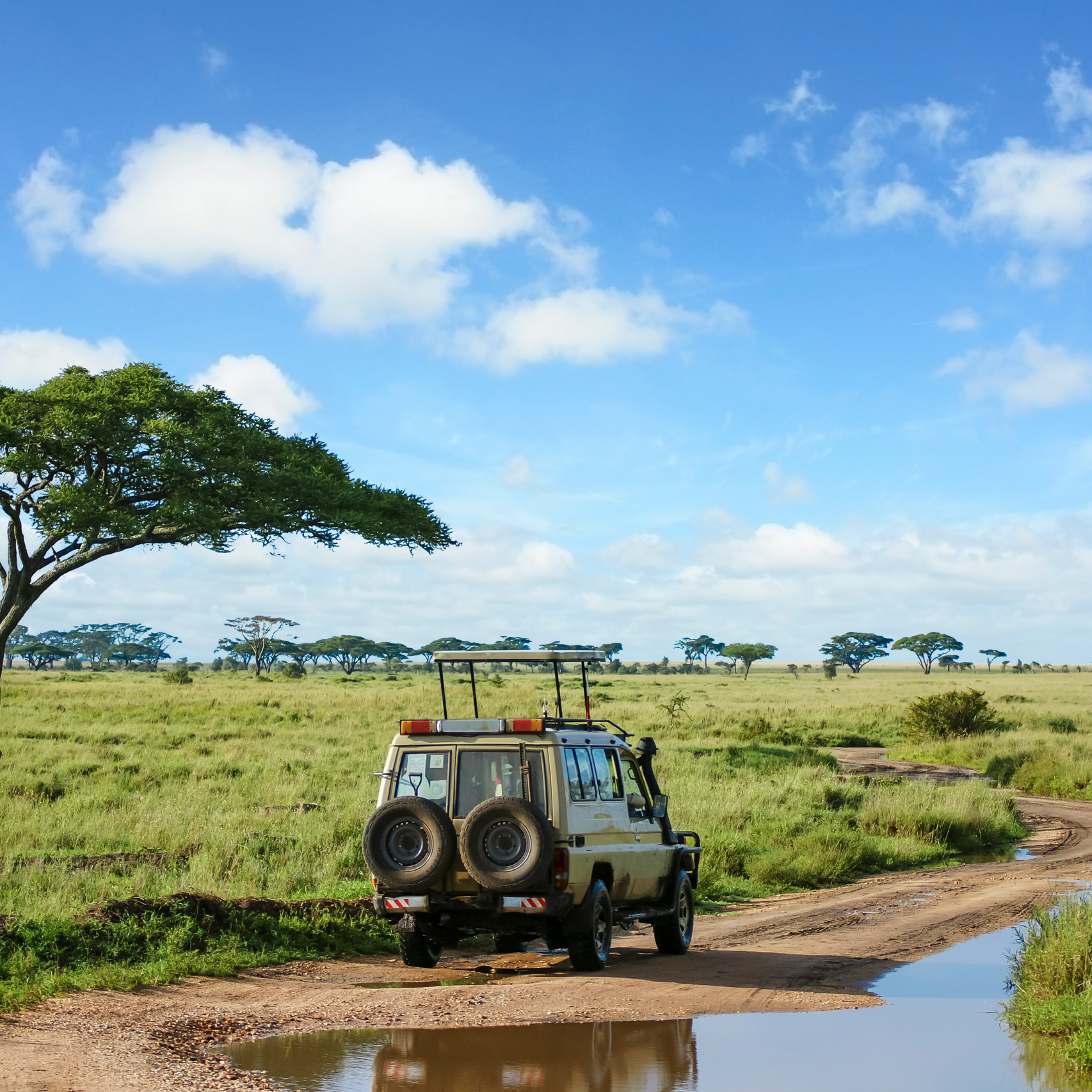 South Africa — Wildlife Conservation Program