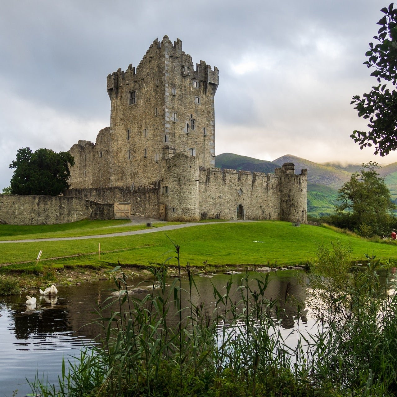 Travailler en Irlande