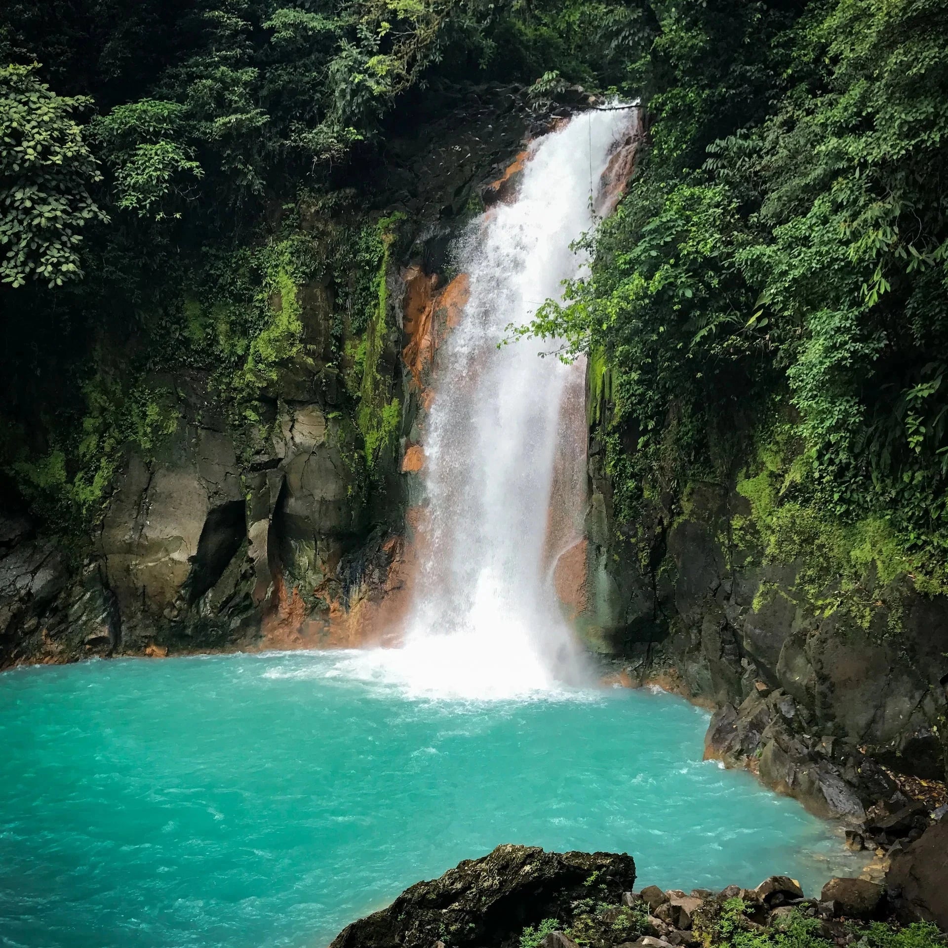 Immersion linguistique au Costa Rica